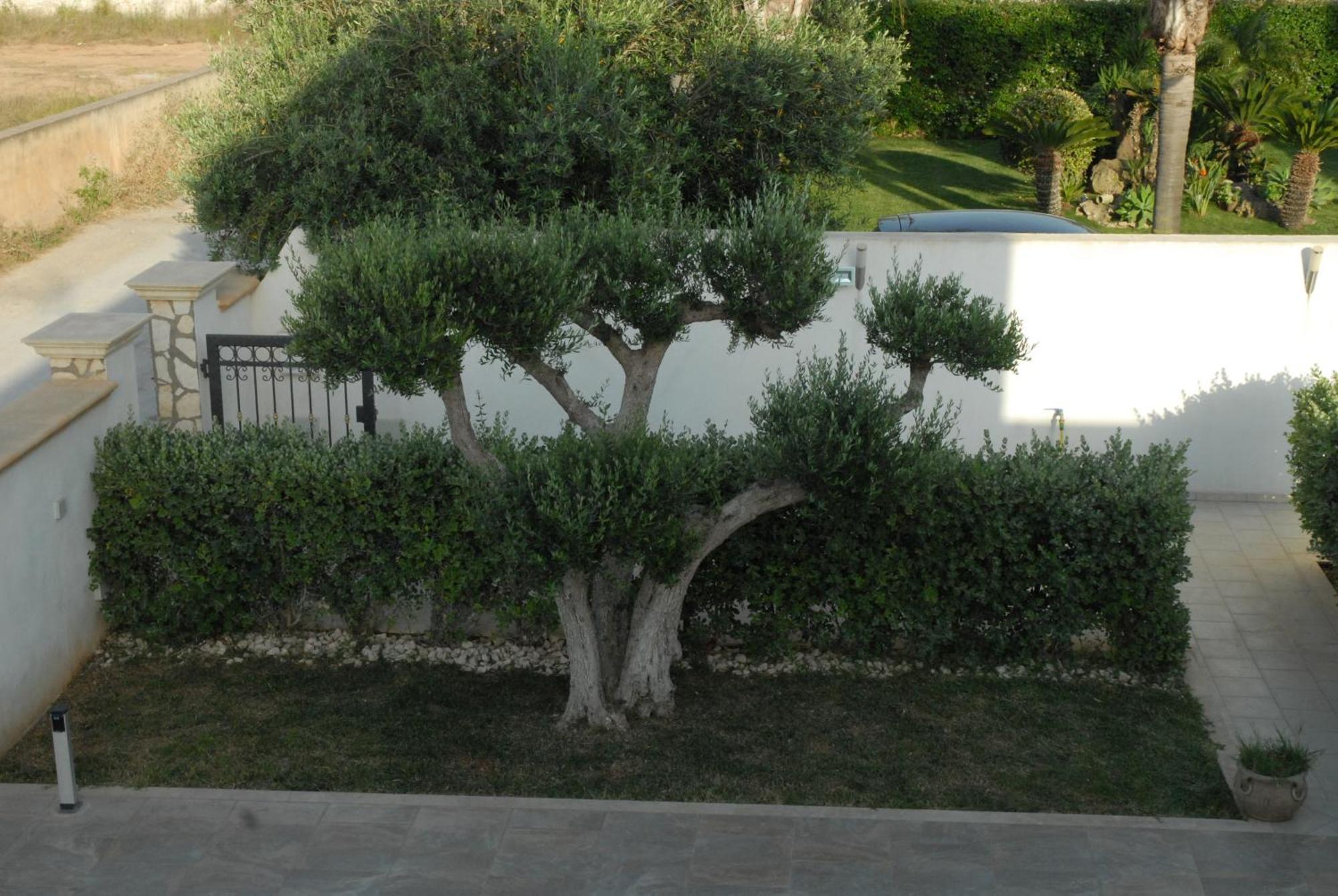 Oasi Tortuga Residence Piscina E Barbecue H24 Mazara del Vallo Buitenkant foto